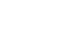 Bravo - MDL's partner