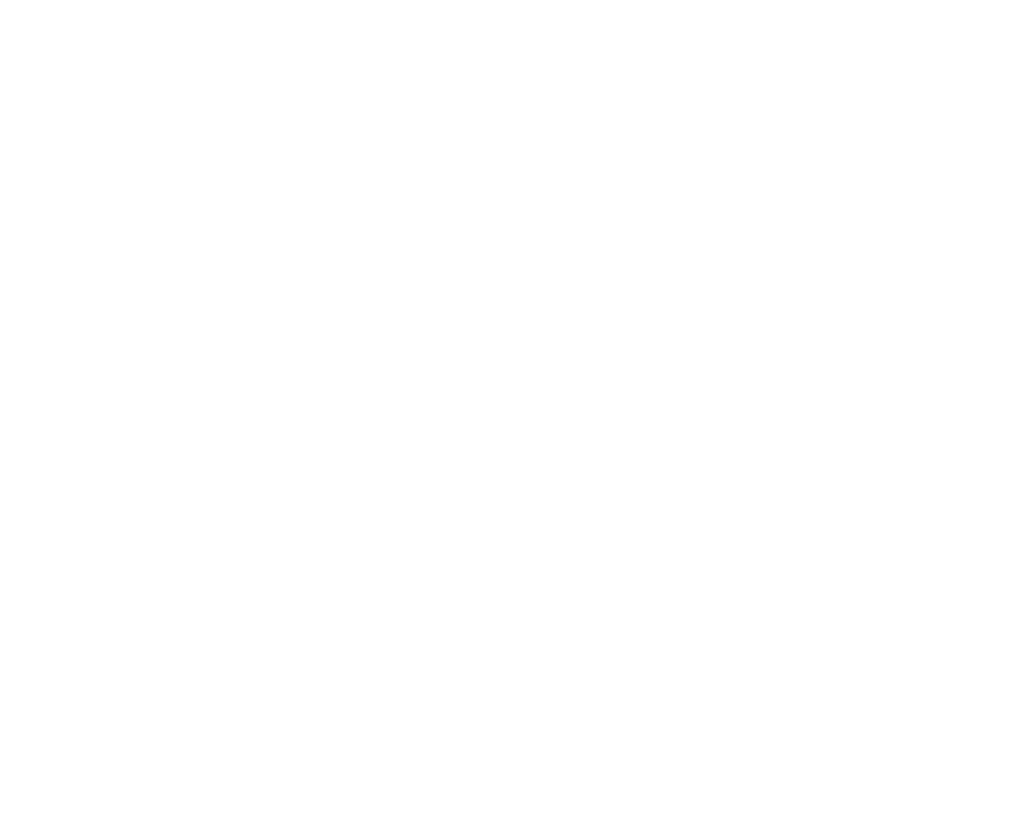 Chanel Beaute