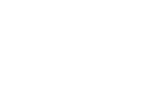 Mercedes-Benz - MDL's partner