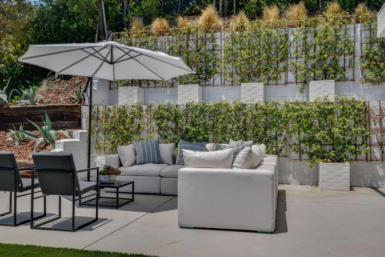 Shaded courtyard seating under a cantilever umbrella against a trellised wall of climbing vines