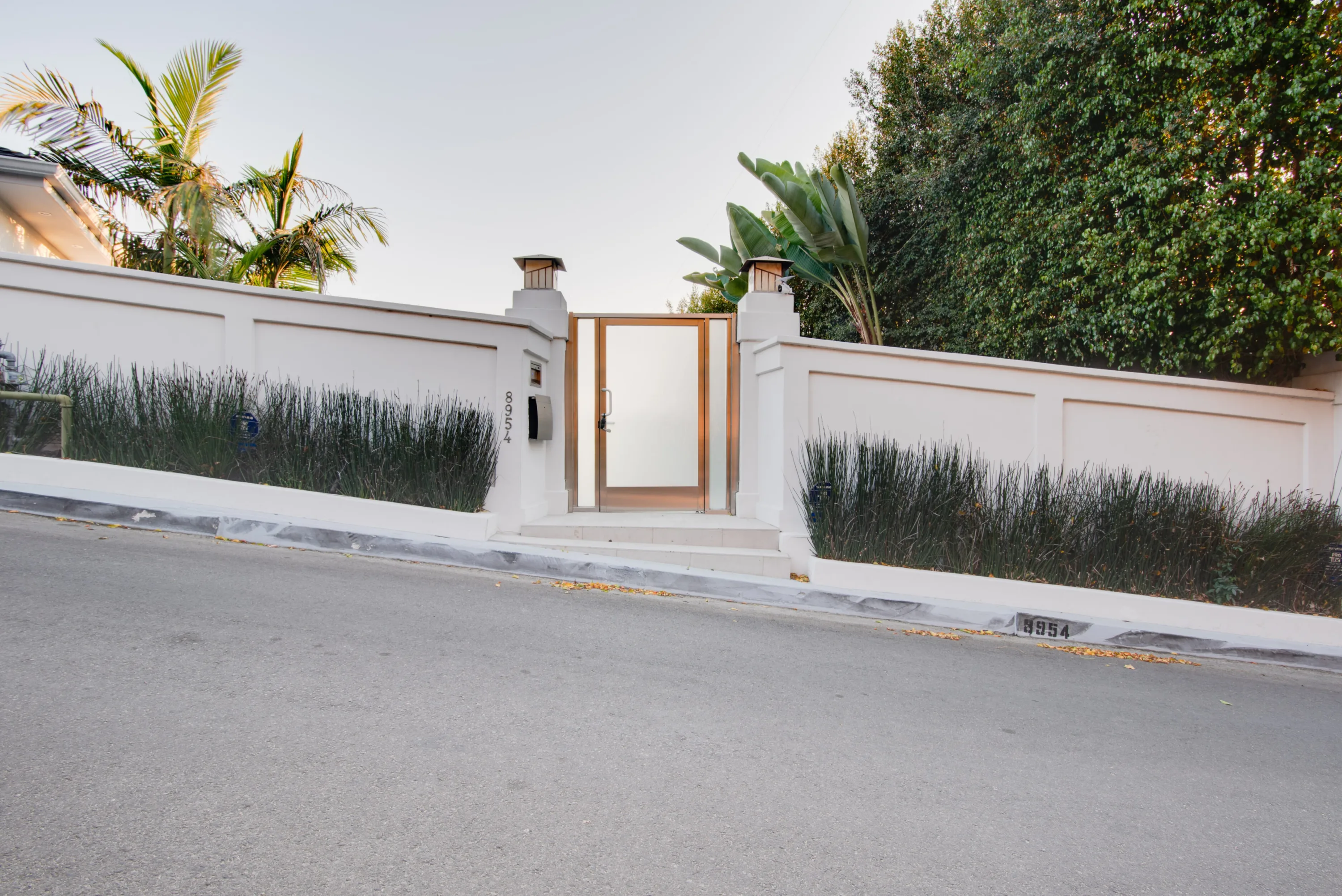 Street entrance behind a white privacy wall, frosted glass gate and tall reeds