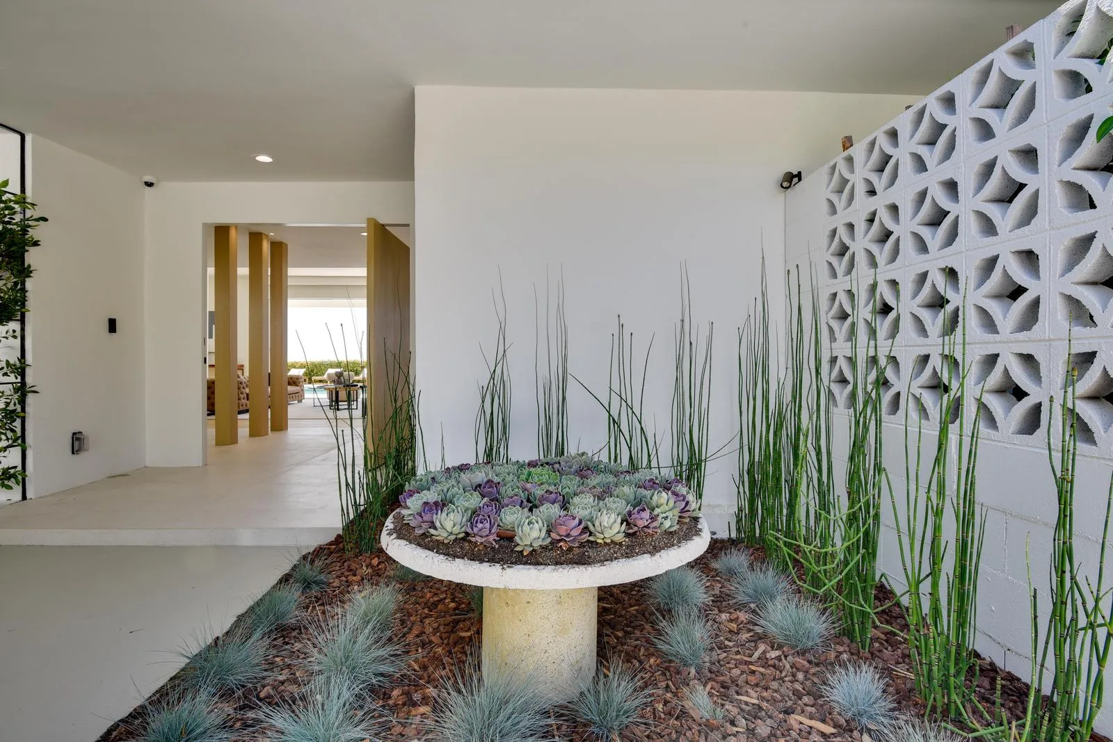 Entry courtyard with succulent-filled stone planter, horsetail reeds and a breeze-block screen wall