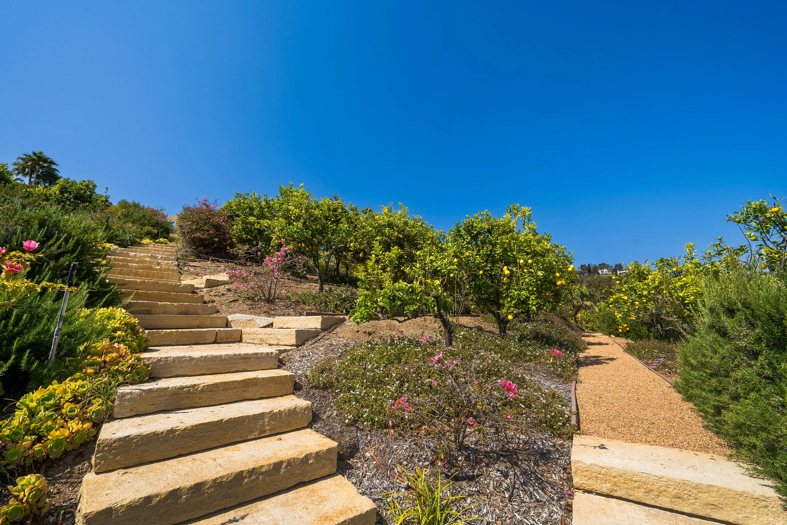 Stone steps climbing past lemon trees and bougainvillea through the terraced garden under deep blue sky